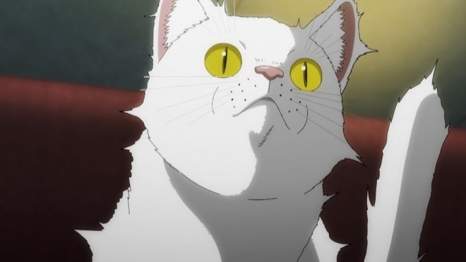 Nyaight of the Living Cat